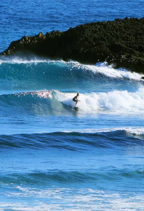 Surfing
