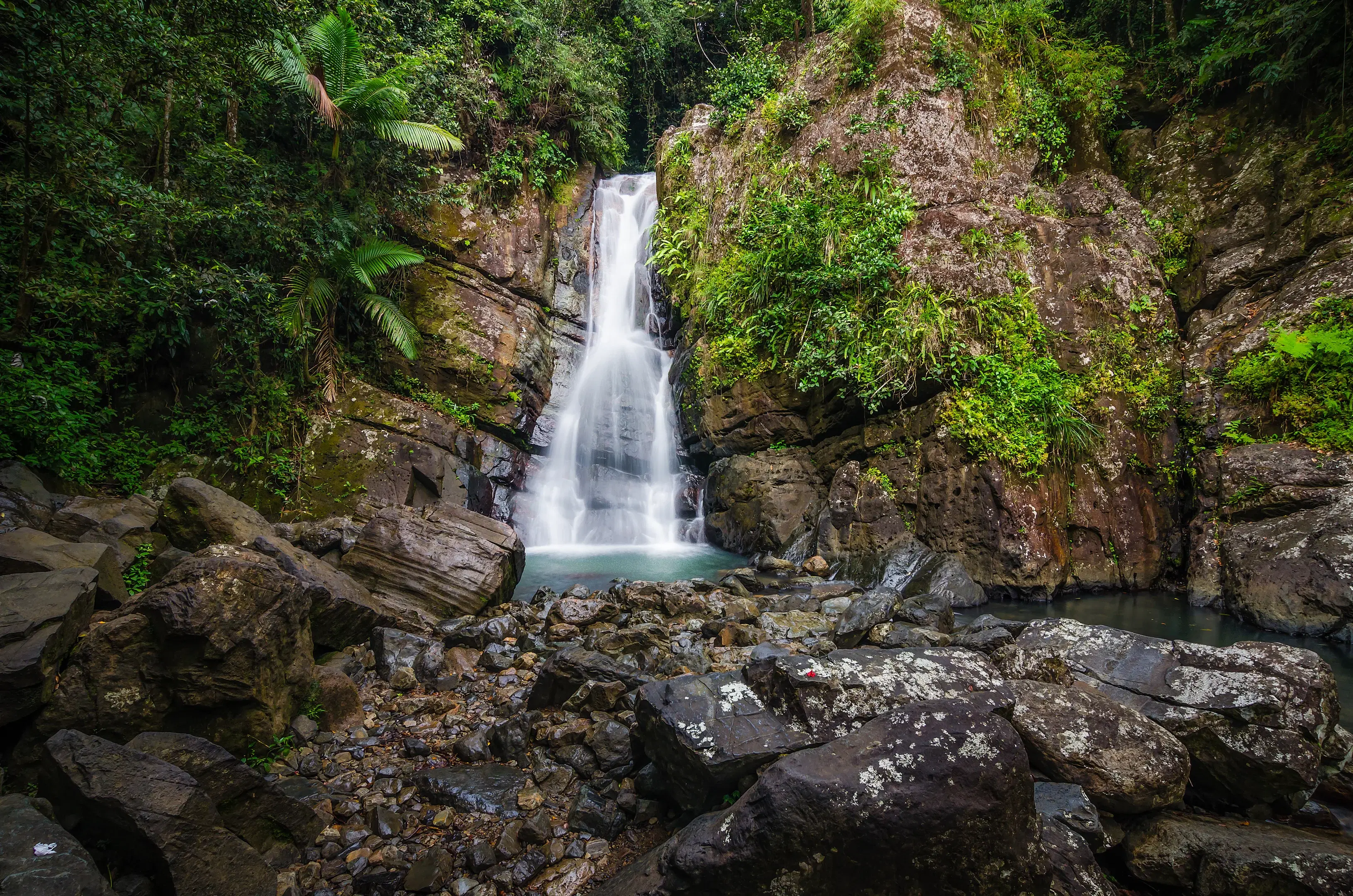 3-day Rainforest Getaway