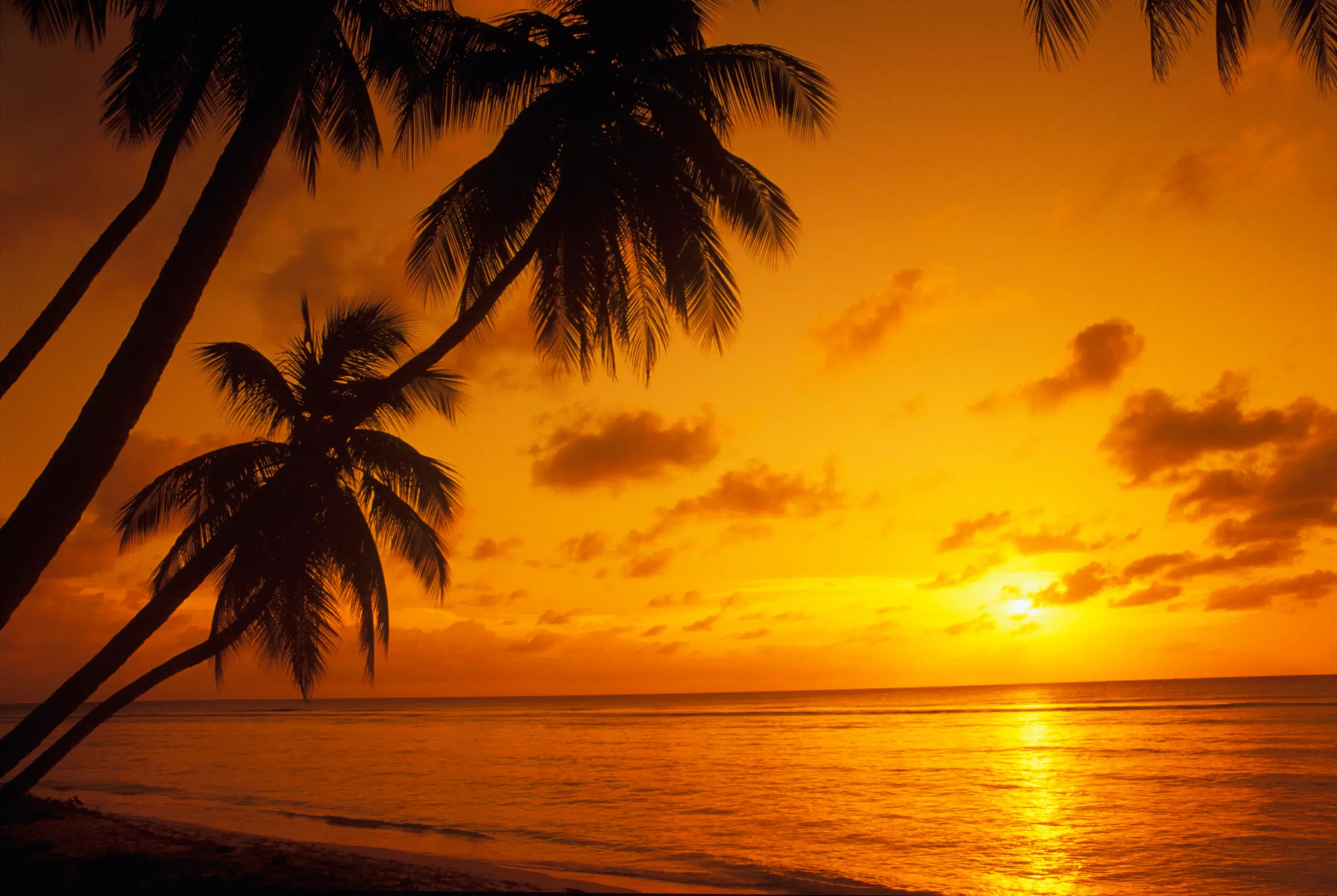 Can’t Miss Beaches, Food, & Drinks: 5-day Itinerary